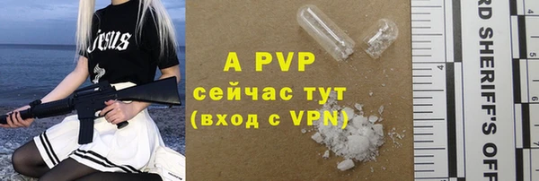 spice Новозыбков