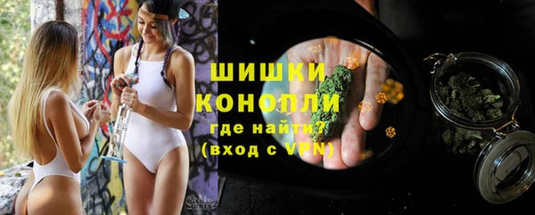 spice Новозыбков