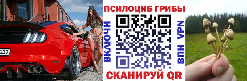 Галлюциногенные грибы Magic Shrooms  Зея 